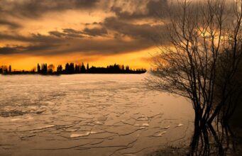 Irish Angling Update 15 January 2021 Lough Sheelin