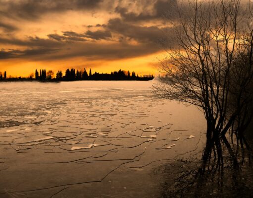 Irish Angling Update 15 January 2021 Lough Sheelin
