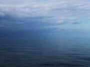 East coast shore angling Dublin and Wicklow in December East coast sea angling in Ireland