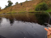 ‘The tug is the drug’ – best salmon takes from 2020