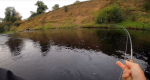‘The tug is the drug’ – best salmon takes from 2020