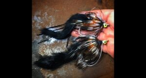 Look and Learn: Bunnies for Pike with Norbert Renaud