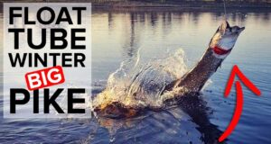 Winter fly fishing for pike