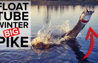 Winter fly fishing for pike