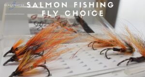 Look and learn: Choosing a salmon fly for the Blackwater with Noel Fitzmaurice