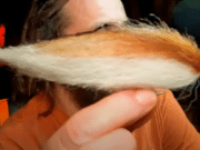 Look and Learn: Tying pike flies with synthetics – Norbert Renaud pike fly