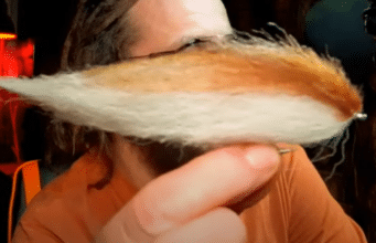 pike fly