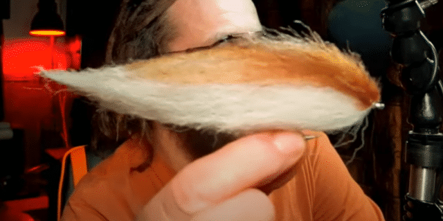 pike fly