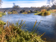 Flyfishing Tapes – George’s favourite nymphs River Suir