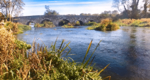 River Suir