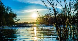 Irish Angling Update – 29 January 2021 winter river