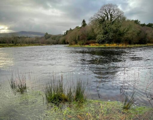 Drowes gets its first salmon of 2021 Opening Day on the Drowes 2021