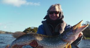 Pike to over 1m from Lough Allua