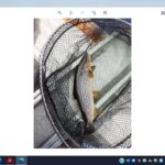 A nice 1lb trout caught by Gary Binley in Cloghan’s Bay on 15th February
