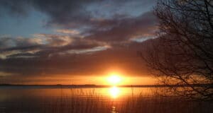 Irish Angling Update 26 February 2021