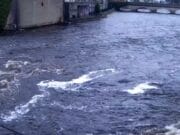 First salmon of the season caught on the River Moy