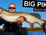 pike