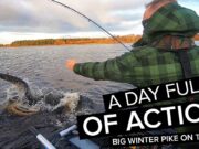 Pike fly fishing from a bellyboat for 1m mamas