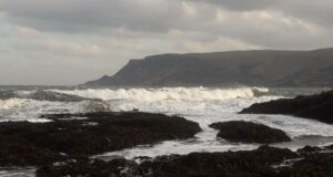 Irish Angling Update – 12 February 2021