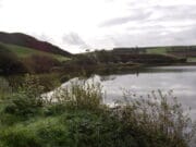 SW Stocked Trout Lakes – Closed