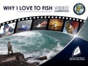 Inland Fisheries Ireland is angling for fishing videos with competition