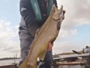 Big trout on troll marks opening day on Gowna