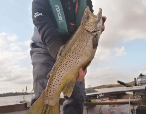 Big trout on troll marks opening day on Gowna