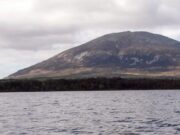 Some more “early” trout reported from Lough Conn