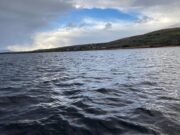 Another Salmon for Lough Currane anglers and other fresh fish seen Lough currane