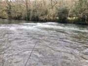 Long wait is over for King’s River trout