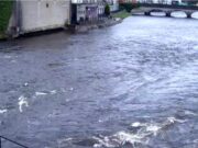 River Moy Angling Report Week ending 21/03/21