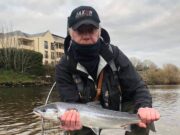 First reported Foyle fish of 2021