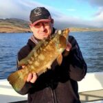 Wrasse