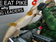 Big pike from the float tube – fly and lure