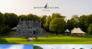 mount falcon