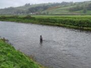 salmon fishing Blackwater