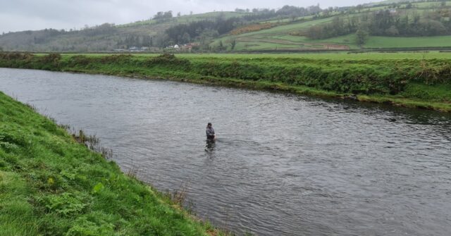 salmon fishing Blackwater