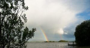 Irish Angling Update – 1st April 2021