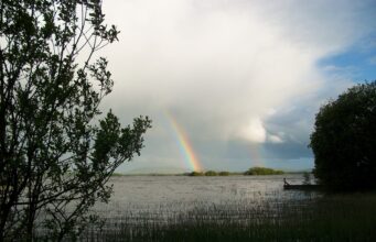 Irish Angling Update – 1st April 2021