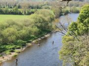 Good salmon fishing on the Blackwater, some grilse showing Anglers tackle the low water conditions at Ballincurrig on the Munster Blackwater