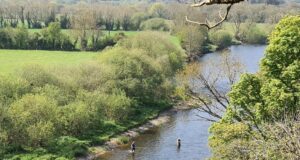 Anglers tackle the low water conditions at Ballincurrig on the Munster Blackwater
