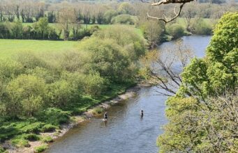 Over 730 Trout caught and released at Munster Senior River Championships Anglers tackle the low water conditions at Ballincurrig on the Munster Blackwater