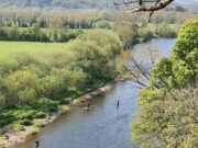Munster Blackwater