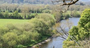 Munster Blackwater