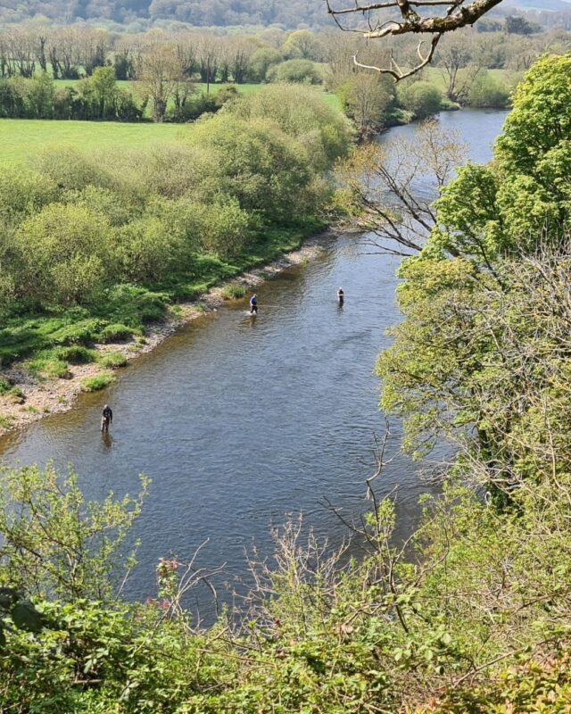 Munster Blackwater
