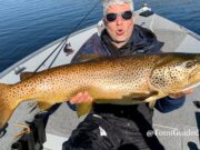 Incredible Ferox Season For Tomi On Corrib Man in boat holding huge trout