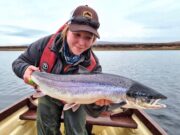 Great Spring Salmon Fishing on Carrowmore Lake!