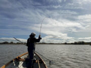 Duckfly well up on Corrib, trout enjoy a quiet lake