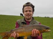 Big trout from short walk in Longford