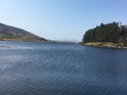Seven salmon to 15lb and a 9lb sea trout reported from Currane Lough Currane, Copal